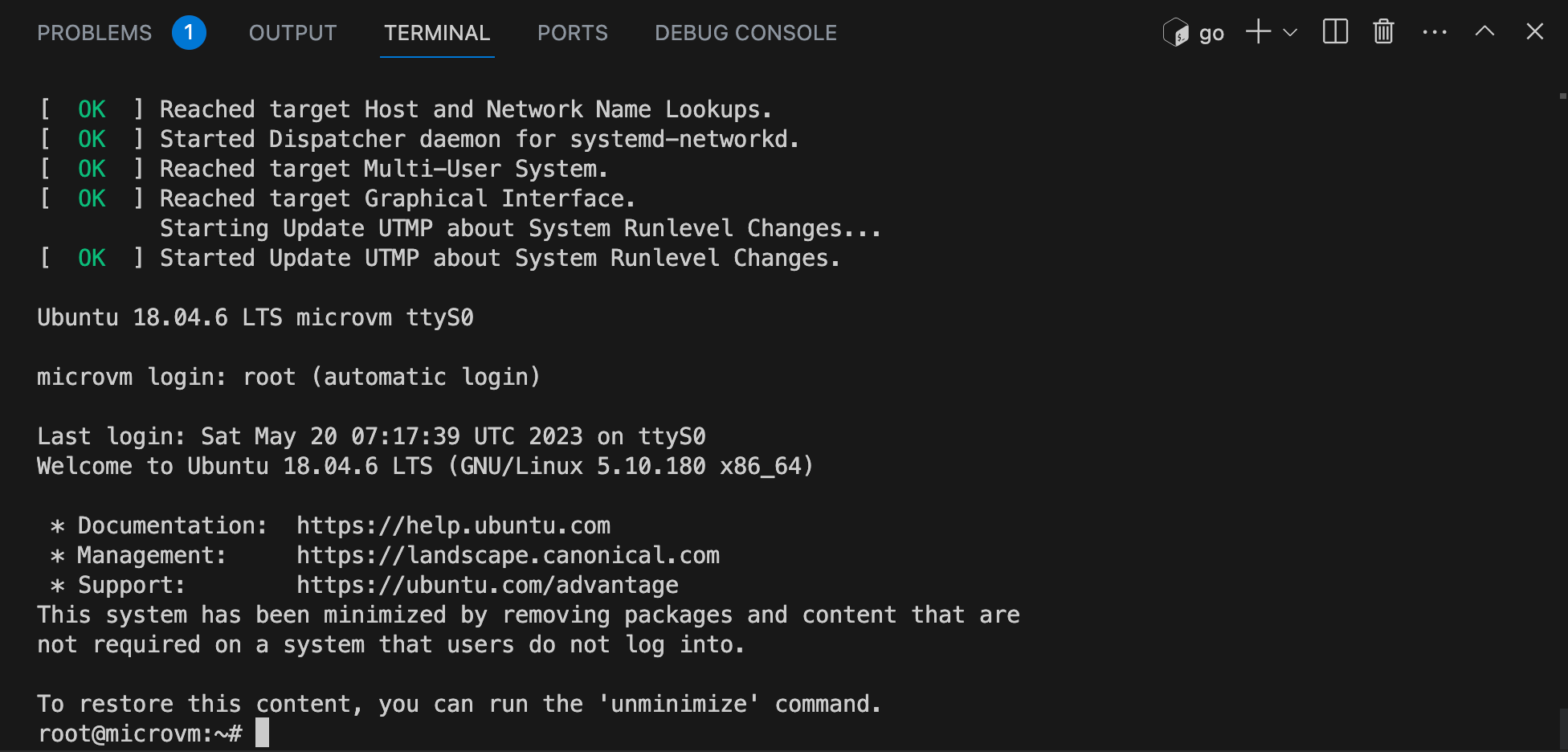 Exploring Firecracker MicroVMs for Multi-Tenant Dagger CI/CD Pipelines